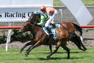 Yearn headlines the first leg of the NZB Insurance Fillies & Mares Triple Crown Series.